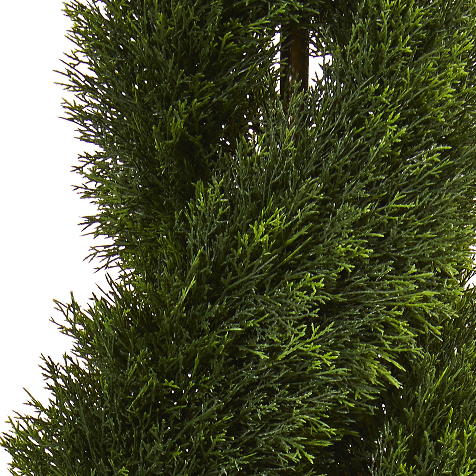 6ft. Potted Double Pond Cypress Spiral Topiary Tree